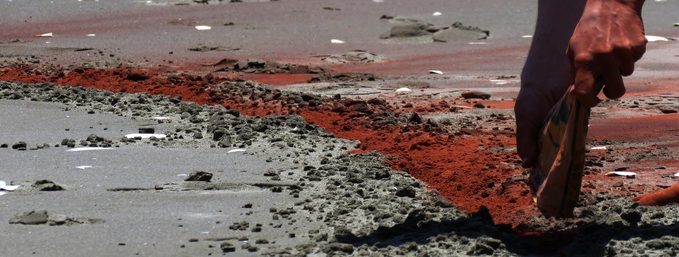 Retorno. Todos los colores te pertenecen, 2016 — Acto poético