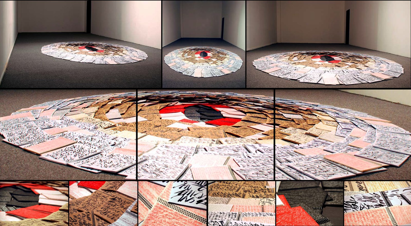 VENUS (Vita-cora, work in progress), 2008 — Museo de Arte Contemporáneo, Quinta Normal